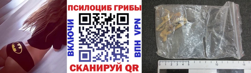 как найти закладки  Будённовск  hydra ONION  Галлюциногенные грибы GOLDEN TEACHER 